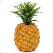 Quel est ce fruit ou légume ?