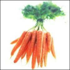 Quels sont ces fruits ou légumes ?