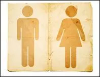 Le premier papier toilette a été fabriqué industriellement par :