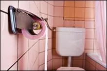 Le papier toilette s'est généralisé dans les foyers à partir :