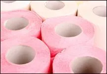 La ouate de cellulose, plus douce et plus absorbante a fait son apparition :