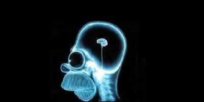 Qu'a Homer dans le crâne ?