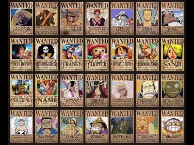 Quiz One Piece : avis de recherche