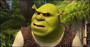 Shrek accepte que l'Âne dorme dans son marais, mais où ?