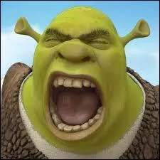 Quelle princesse a-t-il décidé d'aimer ?