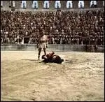 Qu'est-ce que "le mirmillon" ?