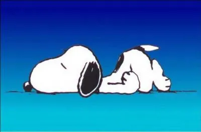 Comment s'appelle ce personnage qui dort ?