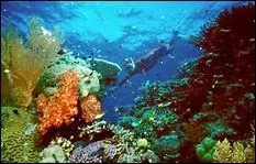 Quelle île est en vue au sud de cette mer ?