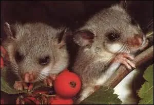 Sur les rives de quel cours d'eau allez-vous pour une bonne pêche de gardons ou de sandres ?