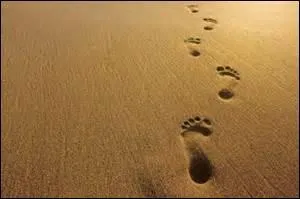 Où vous situez-vous, ici, puisque vous avez suivi ces traces ?