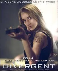 Quels sont les adjectifs désignant l'héroïne sur la couverture du livre ?