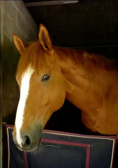 Comment décririez-vous un box ?