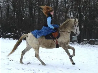 Certaines des aides naturelles sont :