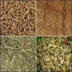 Quels sont les aliments représentés dans l'ordre ?