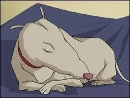 Comment s'appelle le chien d'Odd ?