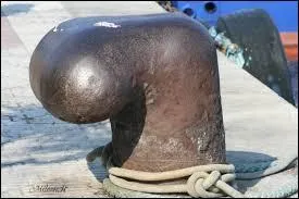 Nom commun, 5 lettres