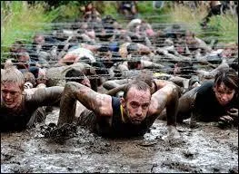 Verbe au présent, 5 lettres