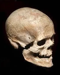 Nom commun, 5 lettres