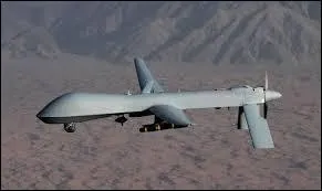 Nom commun, 5 lettres