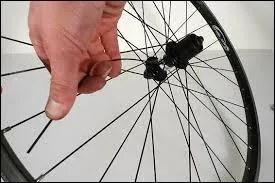 Nom commun, 5 lettres