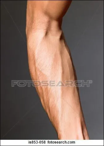 Nom commun, 6 lettres (au pluriel)