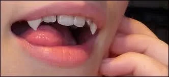 Nom commun, 7 lettres (au pluriel)