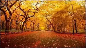 Nom commun, 7 lettres