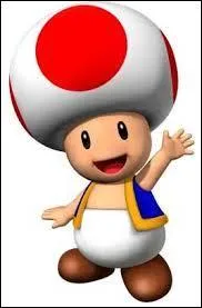 Quel est ce personnage de Mario ?