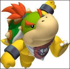 Quel est ce personnage de Mario ?