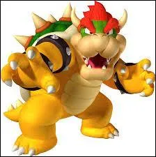 Quel est ce personnage de Mario ?