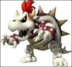 Quel est ce personnage de Mario ?