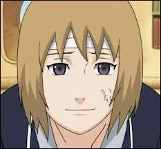 Cette image provient-elle du manga "Naruto" ou "Fairy Tail" ?