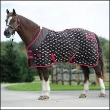 Qu'est-ce que c'est ?