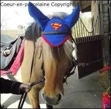 Quel est cet équipement ?