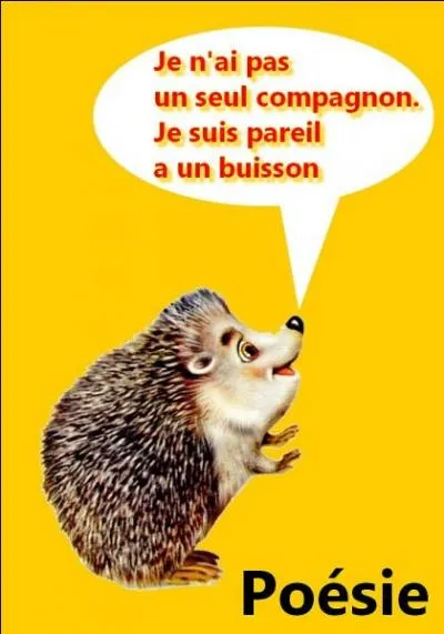 Quel est le po&egrave;te ?