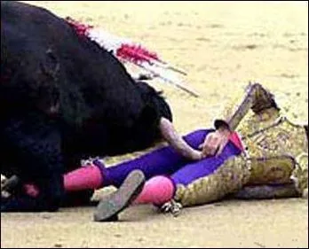 Si vous faites un sans-faute avec ce nouveau mot, vous resterez dans les annales : SOT !