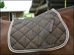 Le haut du tapis doit être sur :