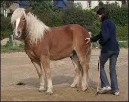 Quant on veut ralentir avec la voix, on dit :