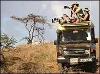 On y joue à capturer les animaux en posant des enclos, c'est un jeu parfait pour jouer à deux.