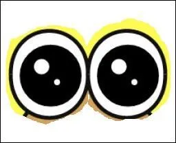 Dans quelle application trouve-t-on ces yeux ?