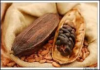 Des fèves, encore des fèves ! Quelles sont-elles pour votre plus grand régal après transformation ?