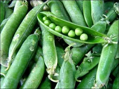 Que puis-je traditionnellement vous cuisiner à l'anglaise ?