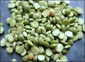 Les pois cassés et les pois frais sont des espèces différentes.