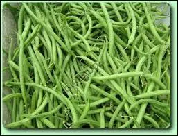 Parmi ces légumes, lequel n'est pas un légume sec ?