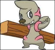 Quelle est l'évolution de Charpenti ?