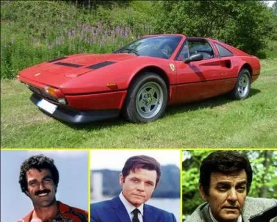 En tant que détective privé, il fait souvent appel à deux amis, eux aussi vétérans du Viêt Nam. Sa Ferrari est le gain d'un pari...