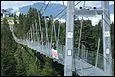 Ce pont suspendu en acier a une portée de 374 m et une hauteur de 58 m, il a été construit sur la vallée de Laui Tobel. Dans quelle ville ?