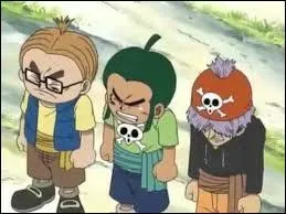 Quelle nouvelle annon&ccedil;a Usopp aux gar&ccedil;ons ?