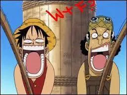 Que proposa Luffy &agrave; Usopp ?