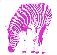 Qu'est-ce qui est représenté en rose ?